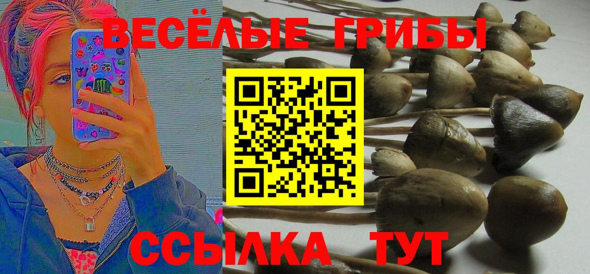 БУТИРАТ Лесозаводск