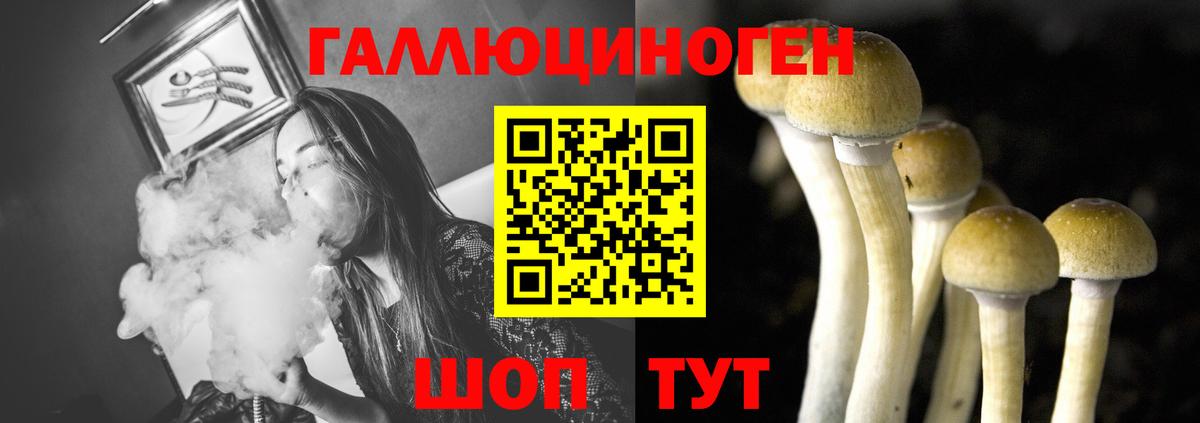 Галлюциногенные грибы MAGIC MUSHROOMS  Вход с VPN  Лесозаводск 